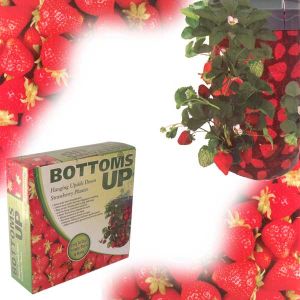 Bottoms Up - Aufzuchthilfe fr Erdbeeren auf - Balkon Terrasse G
